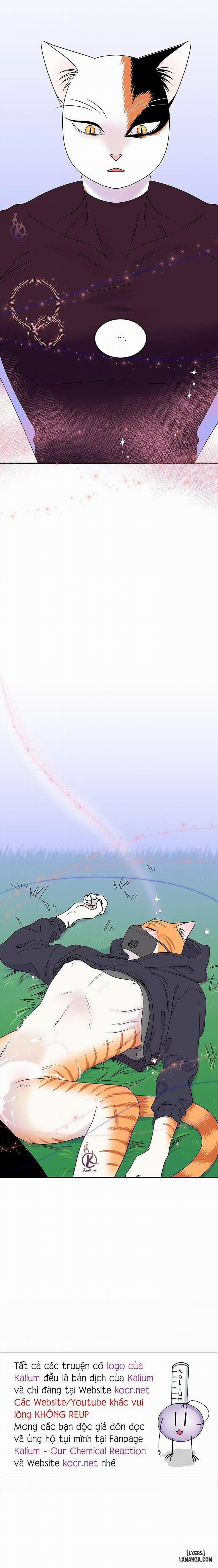 Dự án xanh 31 trang 18