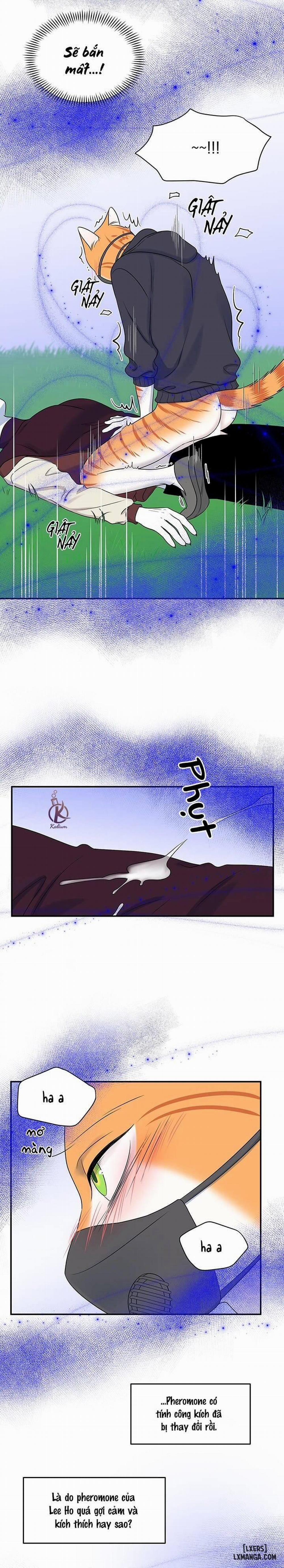 Dự án xanh 31 trang 2