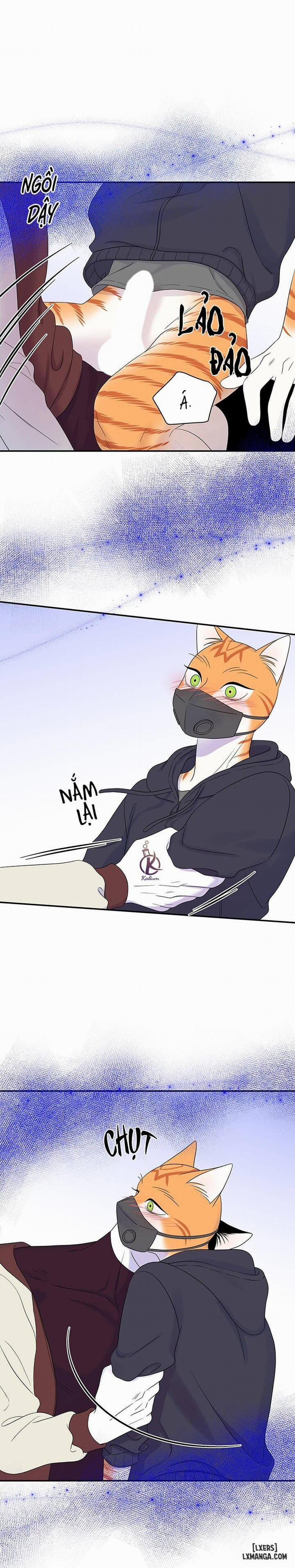 Dự án xanh 31 trang 5