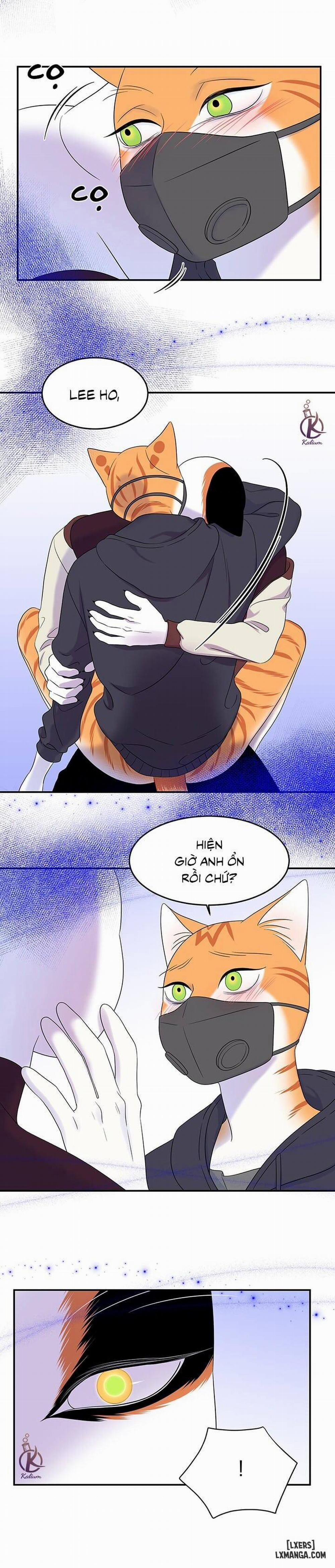 Dự án xanh 31 trang 6