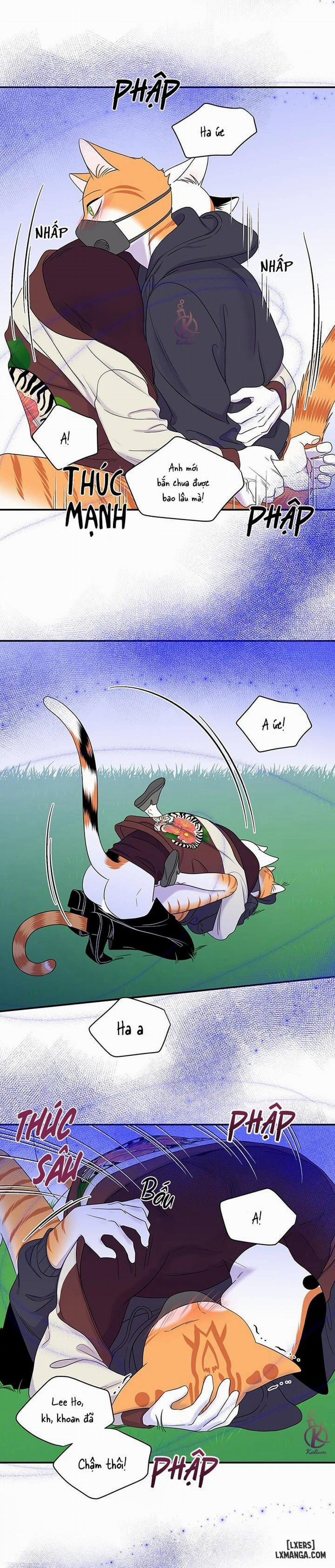 Dự án xanh 31 trang 8