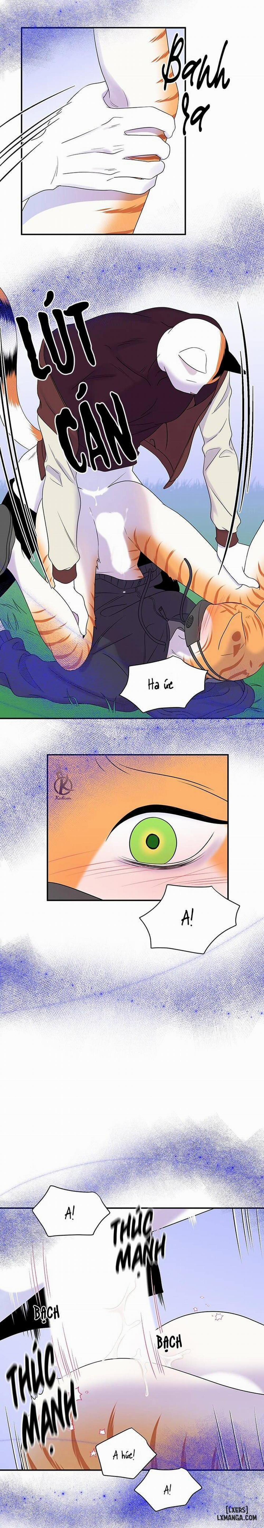 Dự án xanh 31 trang 9