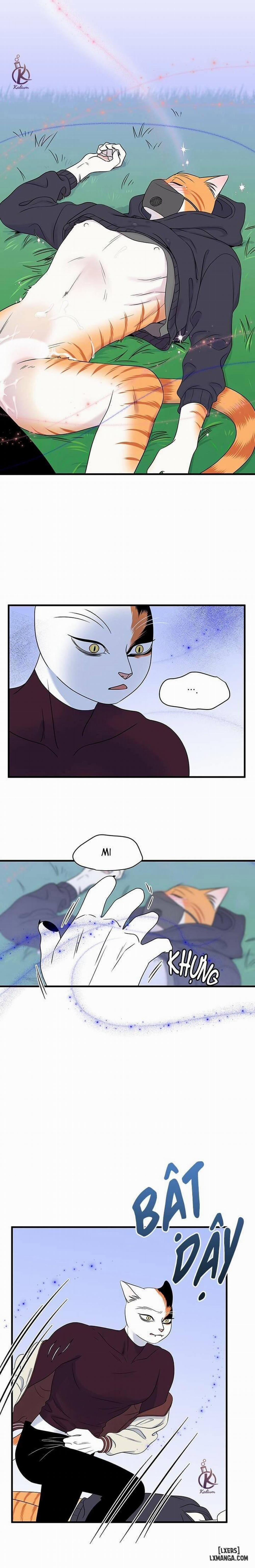 Dự án xanh 32 trang 0