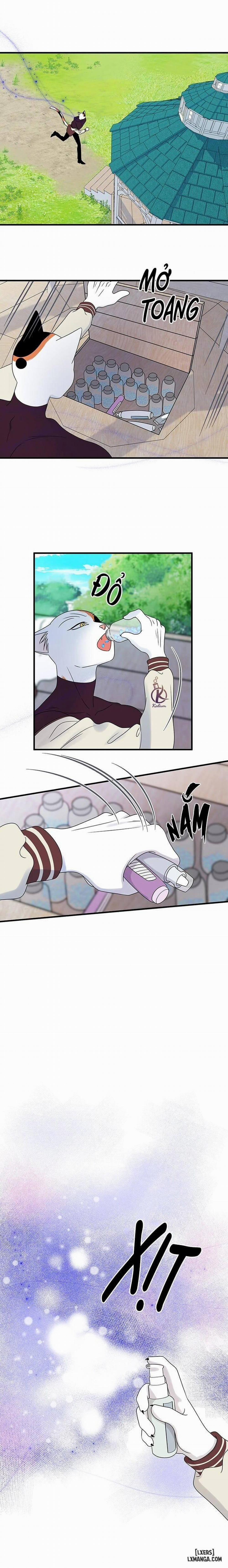 Dự án xanh 32 trang 1