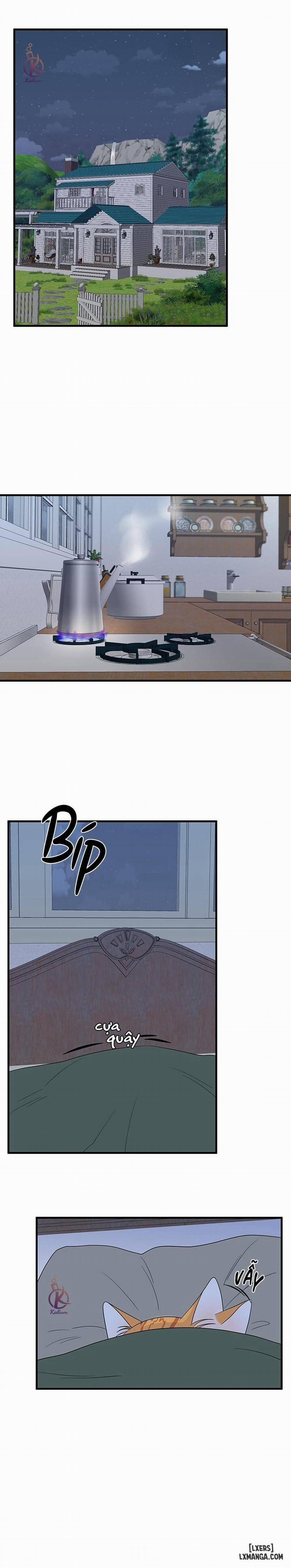 Dự án xanh 32 trang 11