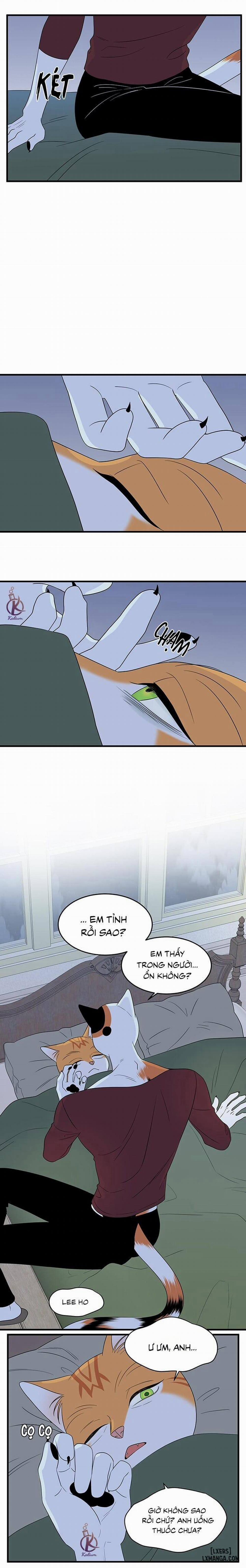 Dự án xanh 32 trang 12