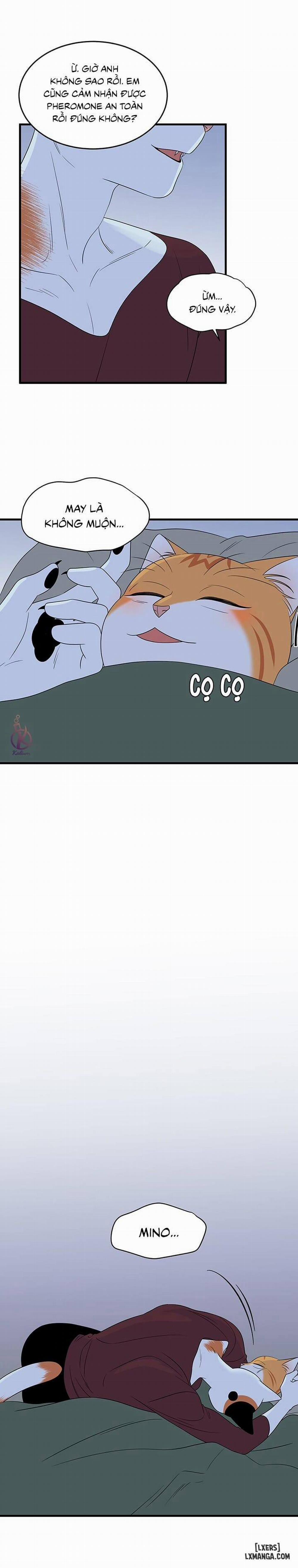 Dự án xanh 32 trang 13