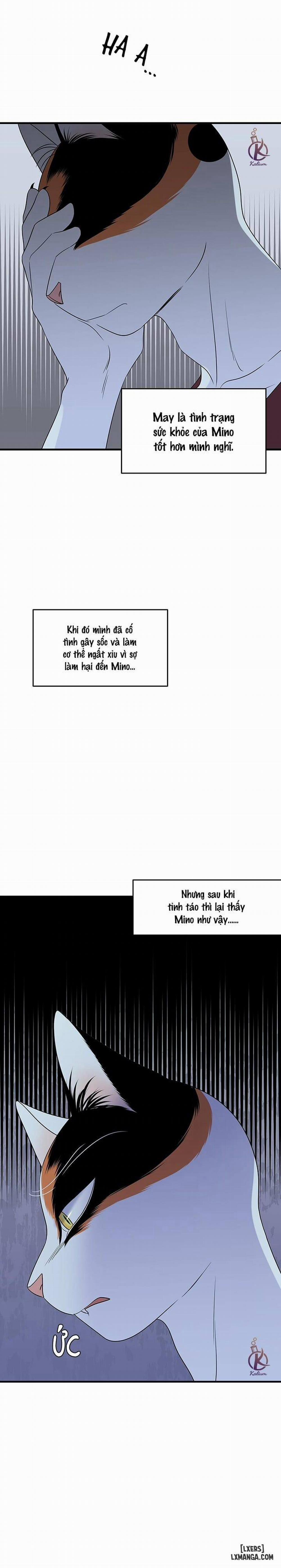 Dự án xanh 32 trang 16