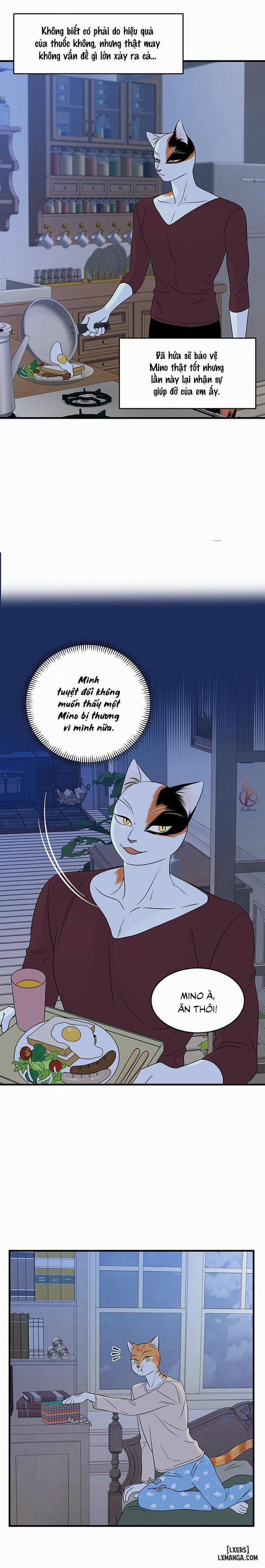 Dự án xanh 32 trang 17