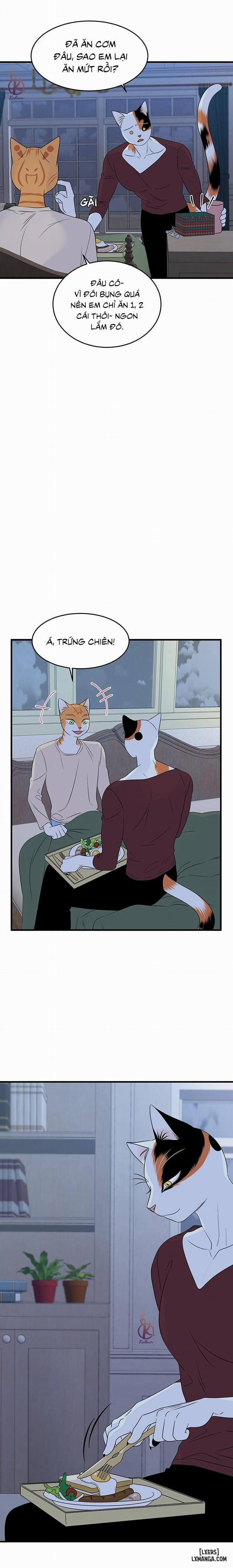 Dự án xanh 32 trang 18