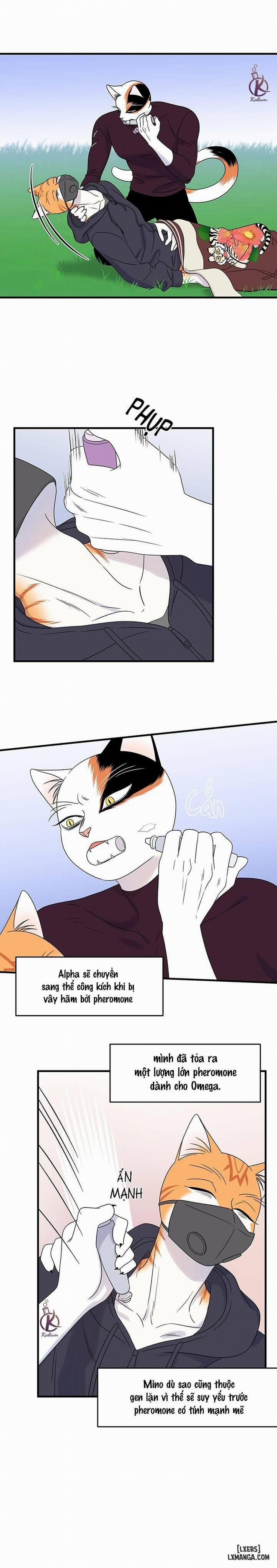 Dự án xanh 32 trang 2