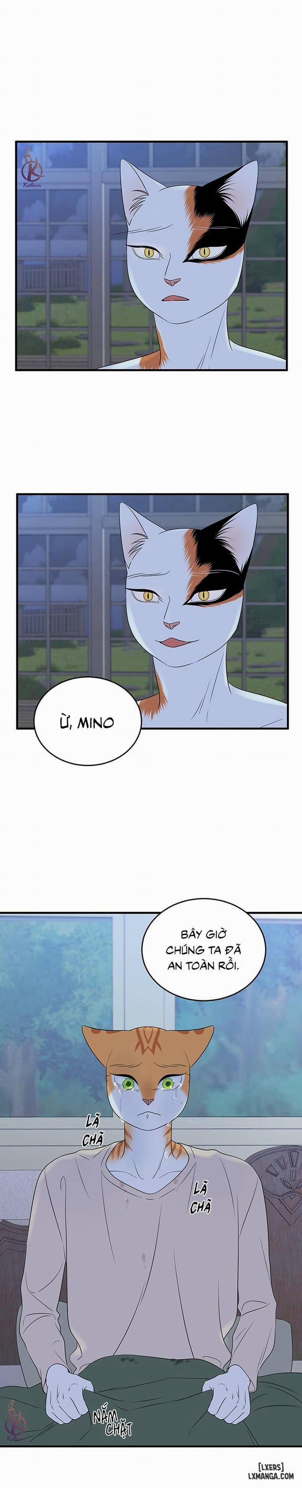 Dự án xanh 32 trang 20