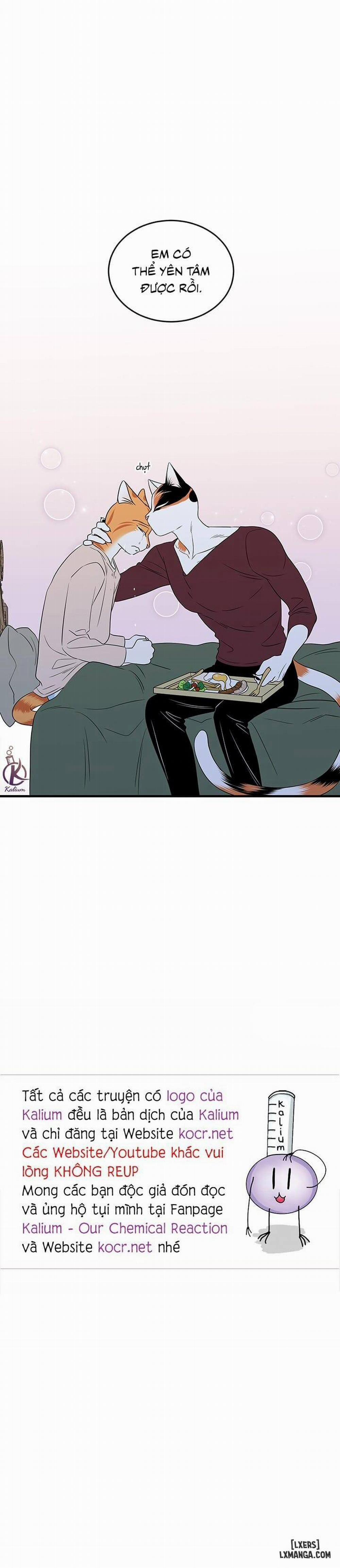 Dự án xanh 32 trang 21