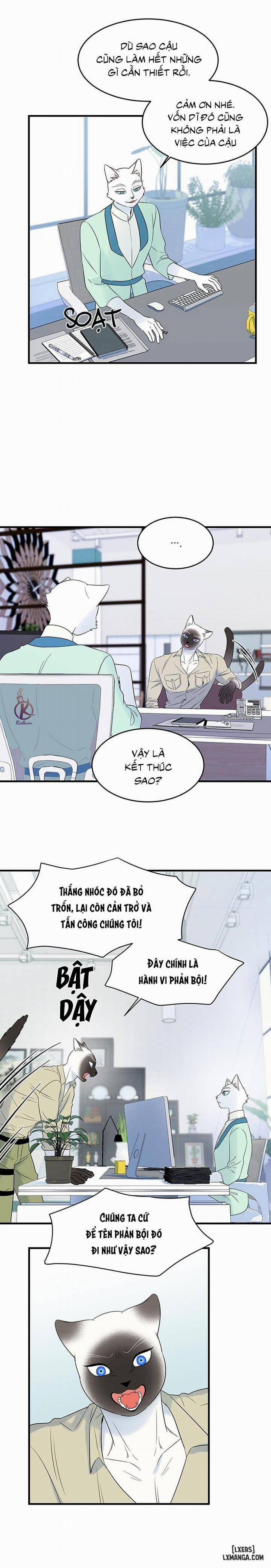 Dự án xanh 32 trang 6