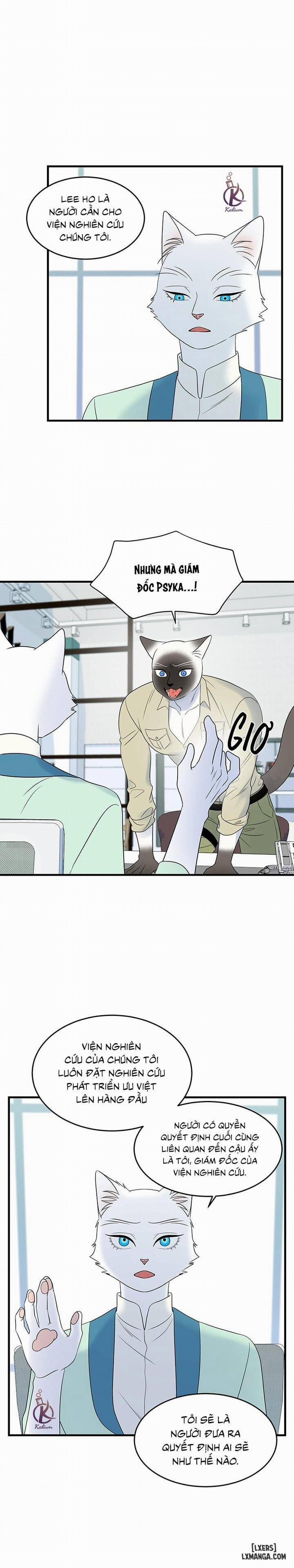 Dự án xanh 32 trang 7