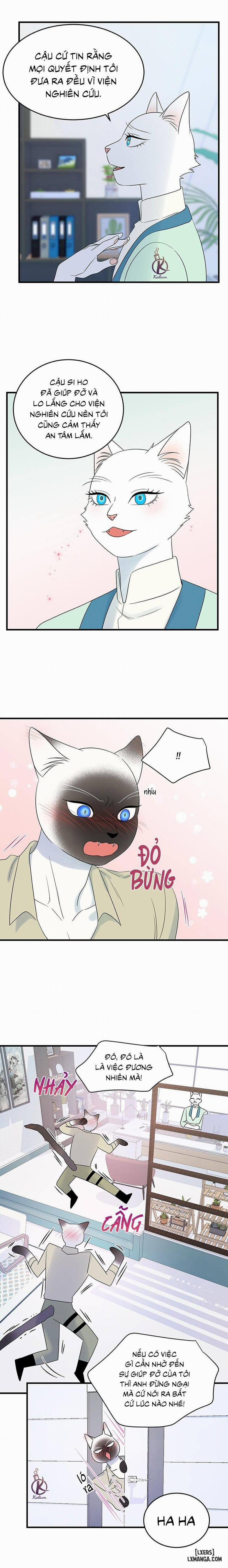 Dự án xanh 32 trang 9