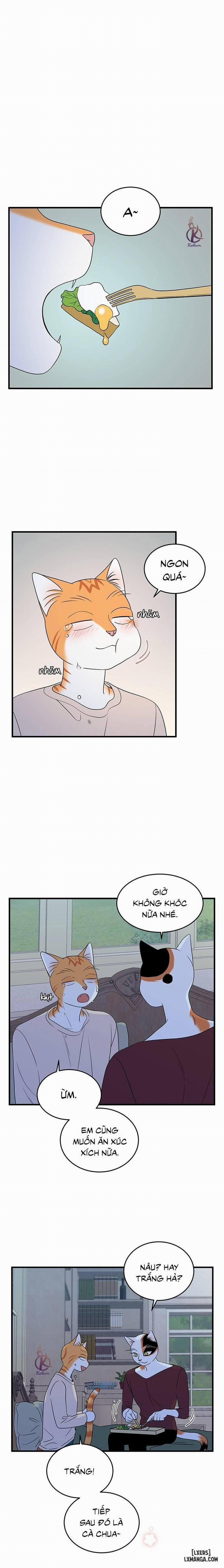 Dự án xanh 33 trang 0