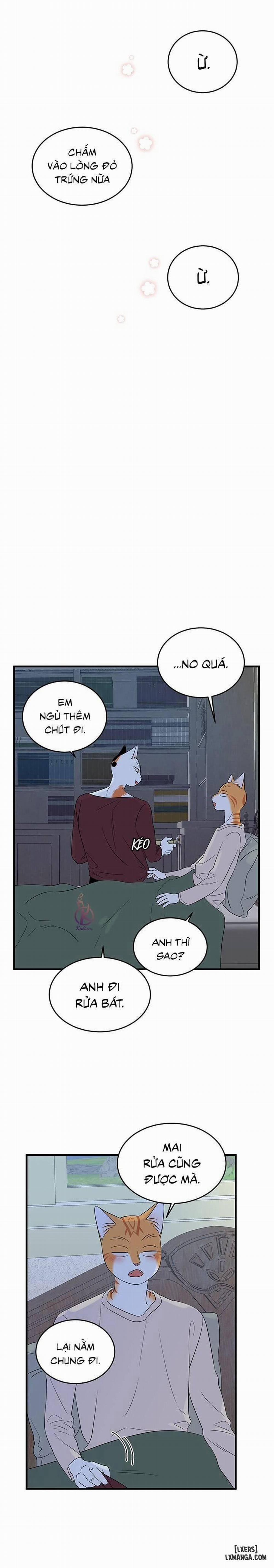 Dự án xanh 33 trang 1