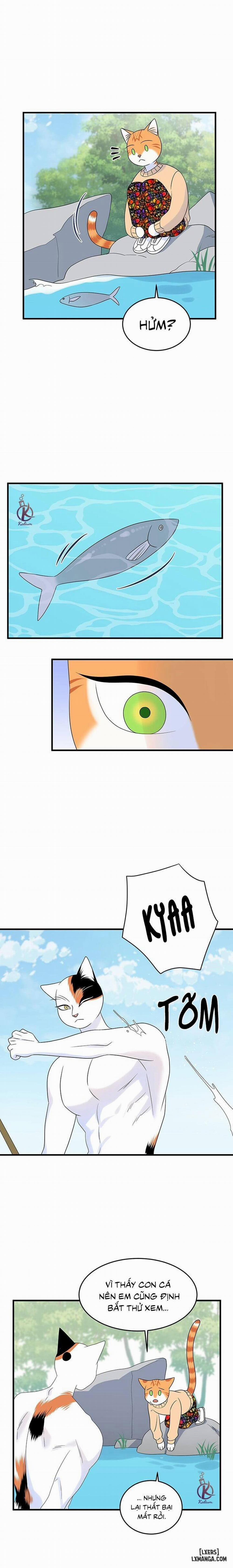 Dự án xanh 33 trang 14