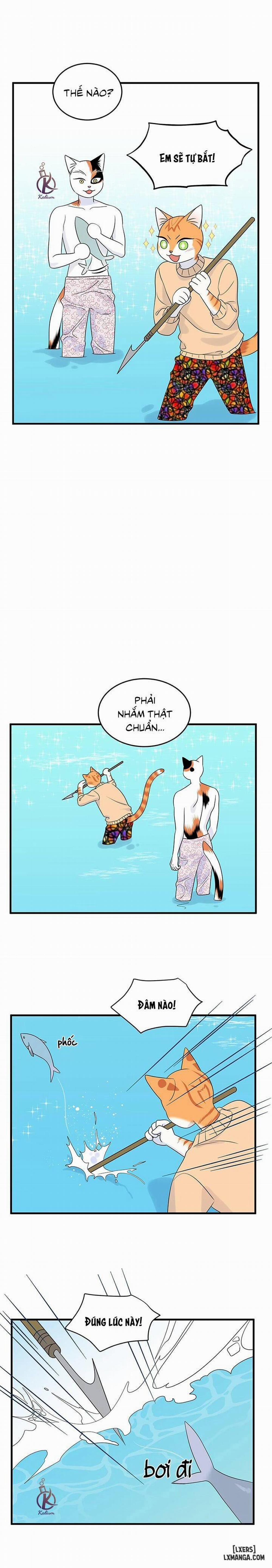 Dự án xanh 33 trang 16