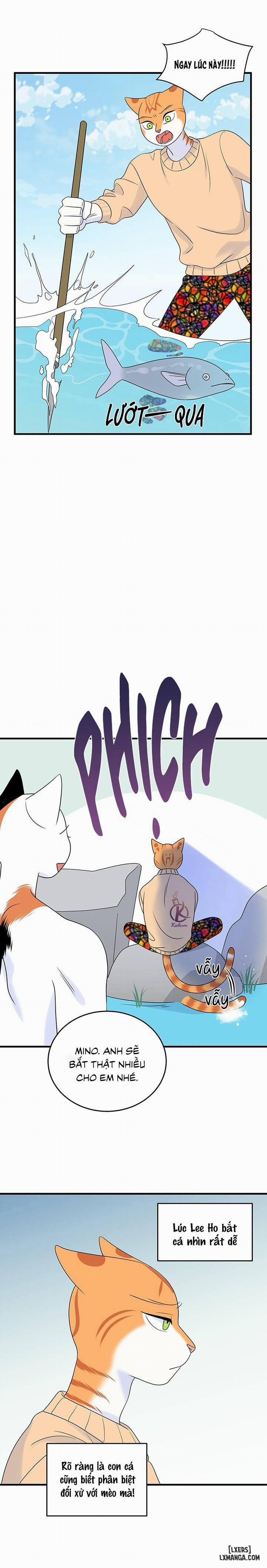 Dự án xanh 33 trang 17