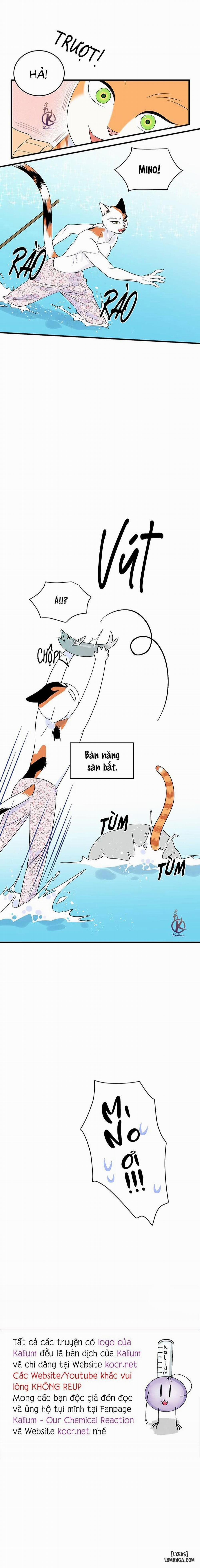 Dự án xanh 33 trang 20