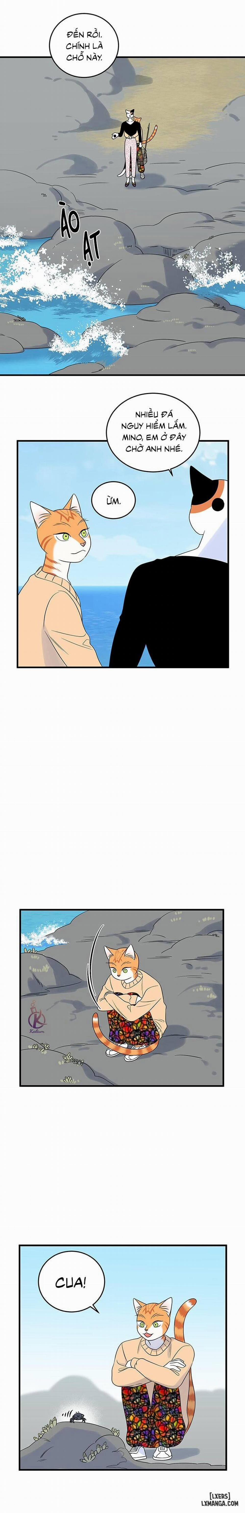 Dự án xanh 33 trang 8