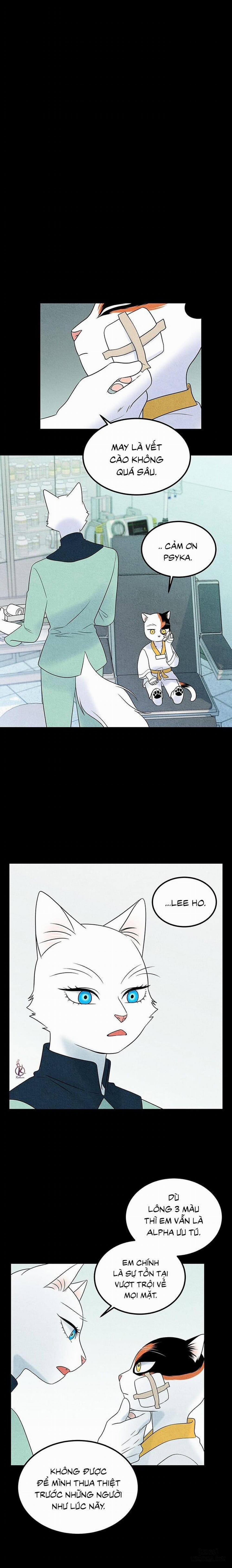 Dự án xanh 34 trang 11