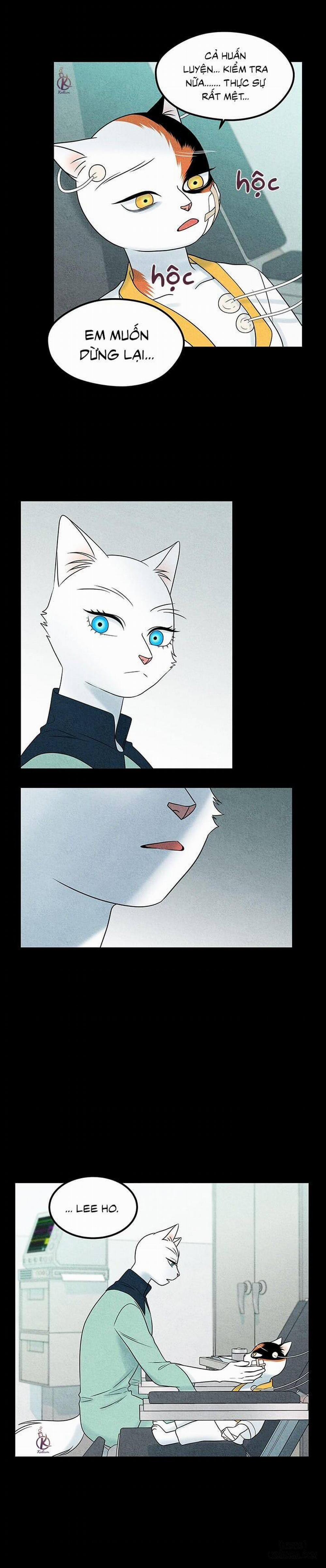 Dự án xanh 34 trang 14