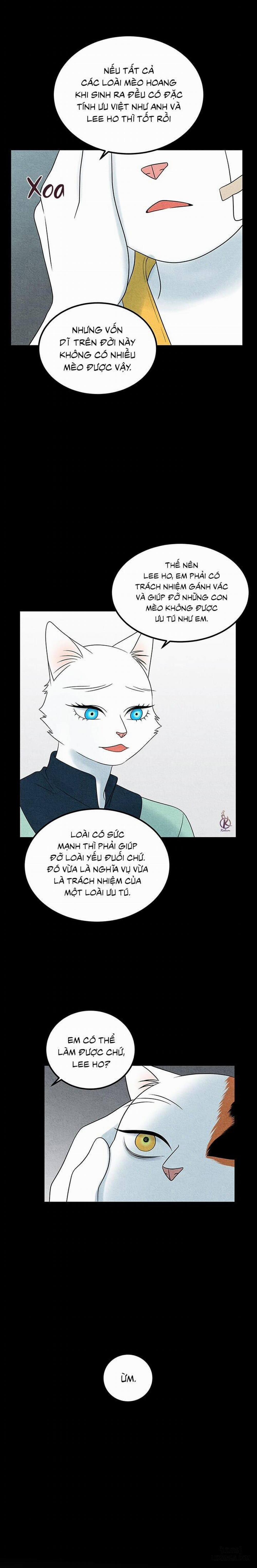 Dự án xanh 34 trang 15