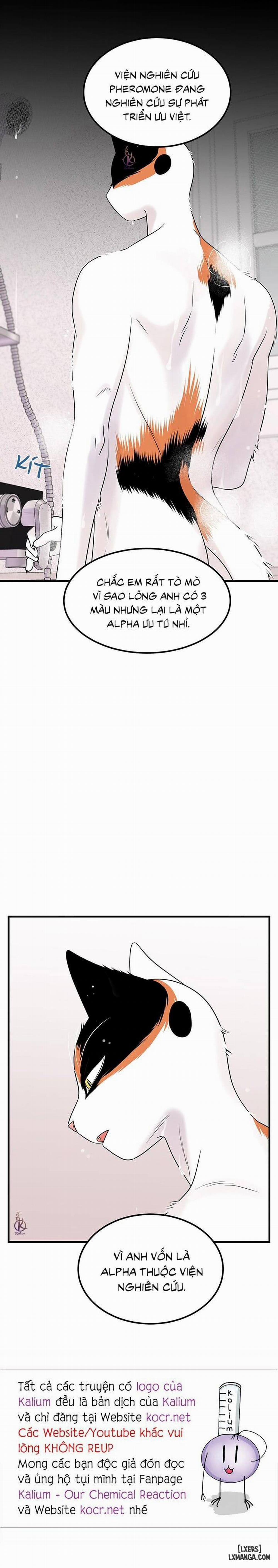 Dự án xanh 34 trang 16