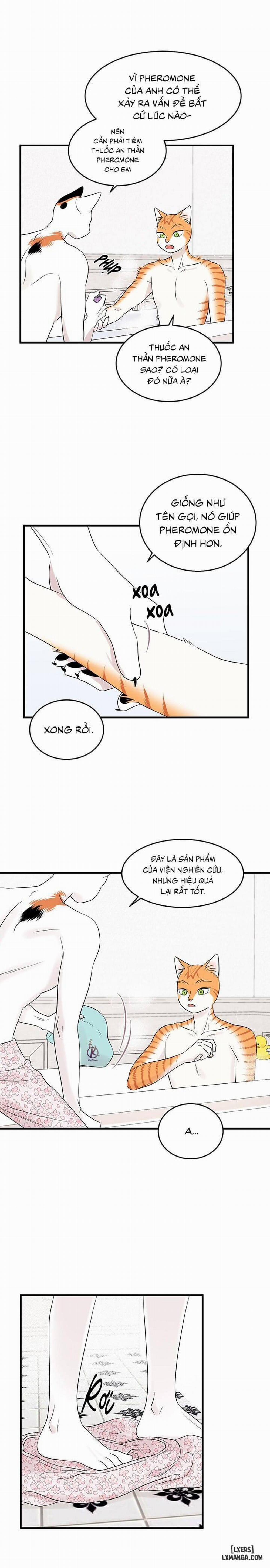 Dự án xanh 34 trang 4