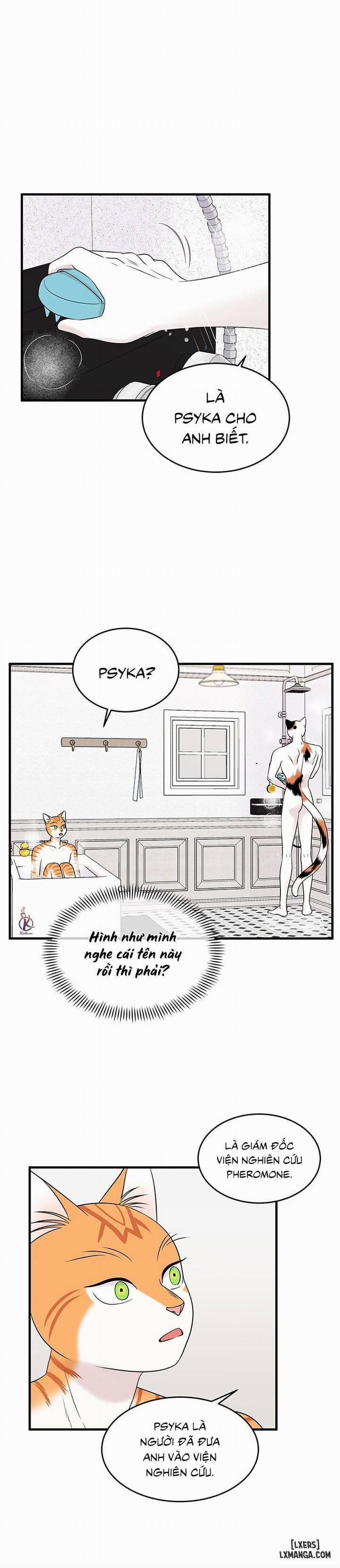 Dự án xanh 34 trang 6