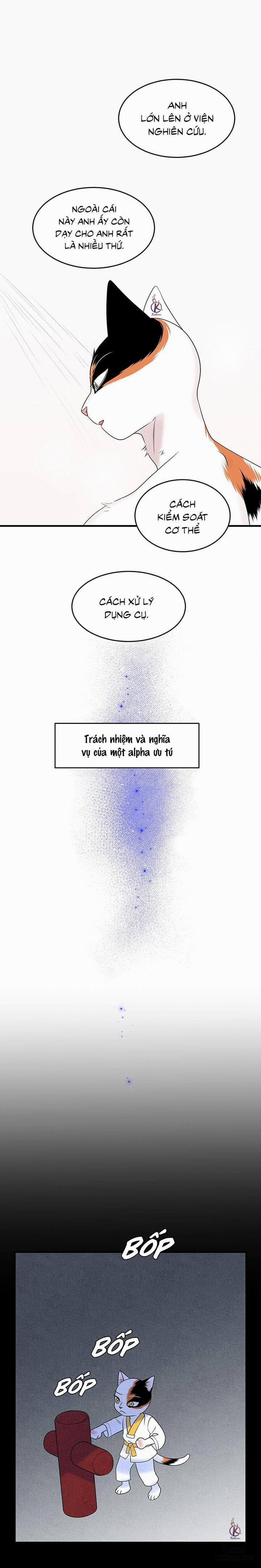 Dự án xanh 34 trang 7