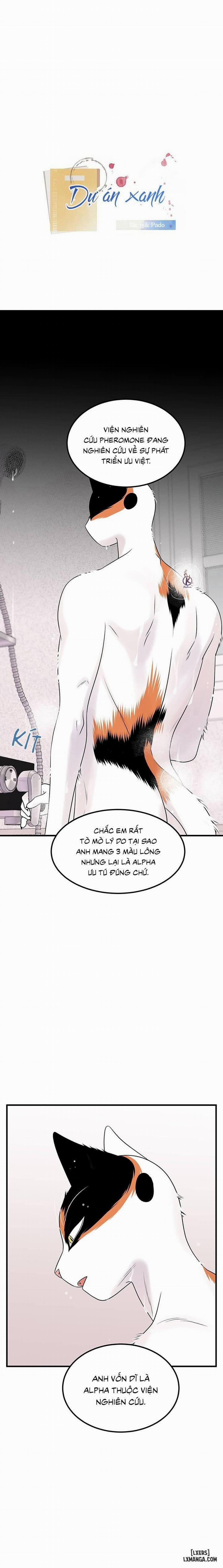 Dự án xanh 35 trang 0