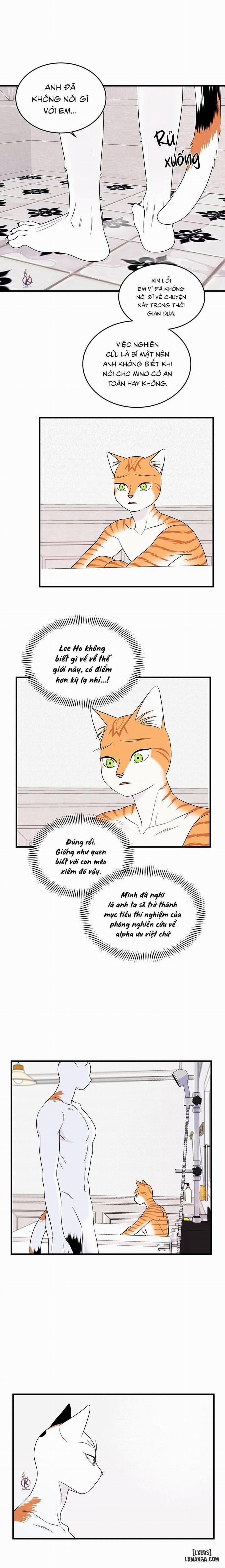 Dự án xanh 35 trang 1