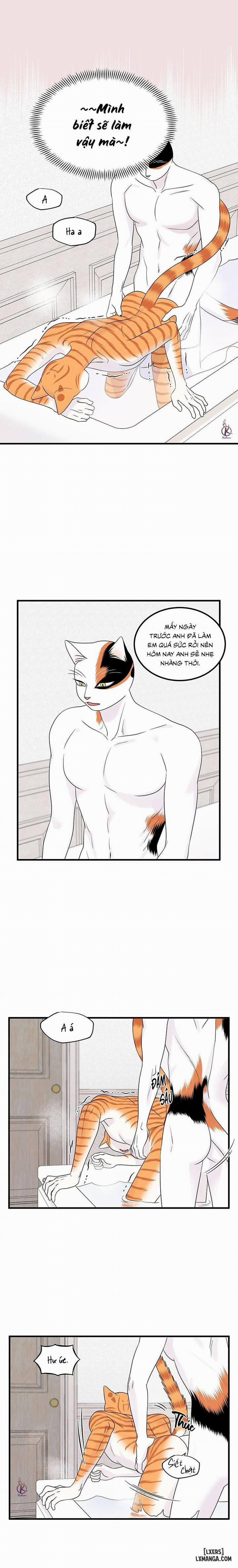 Dự án xanh 35 trang 10