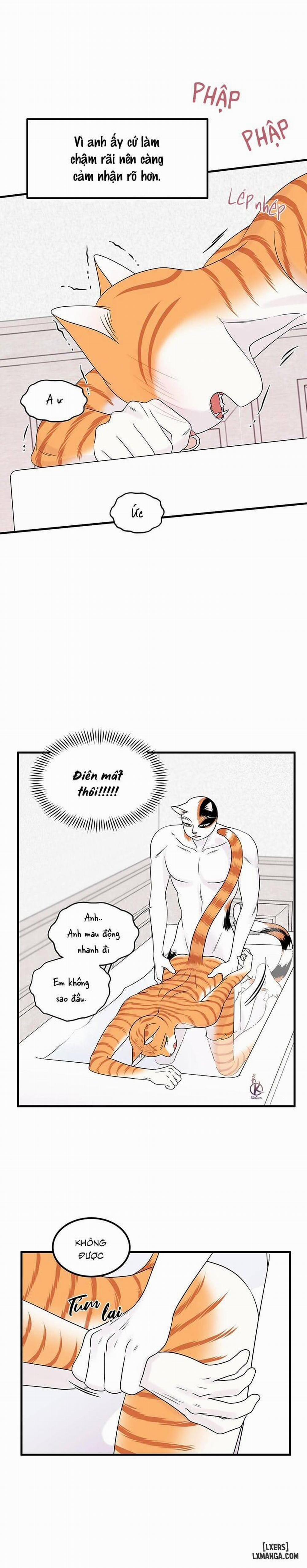 Dự án xanh 35 trang 11