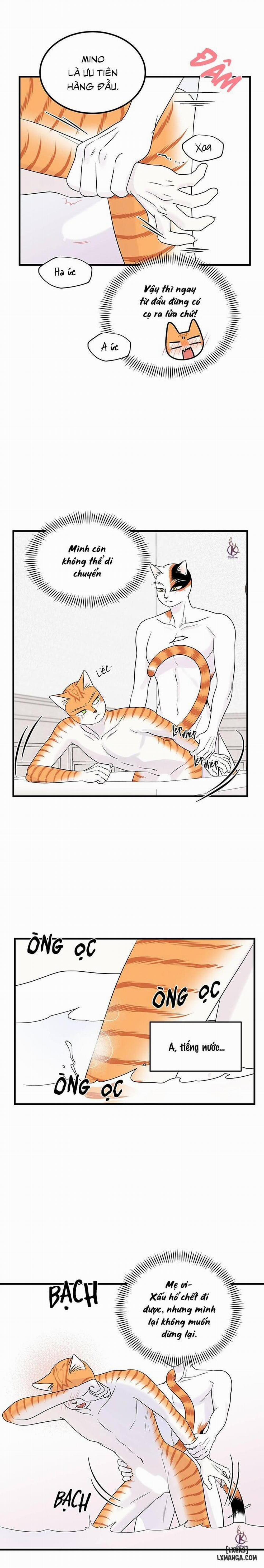 Dự án xanh 35 trang 12