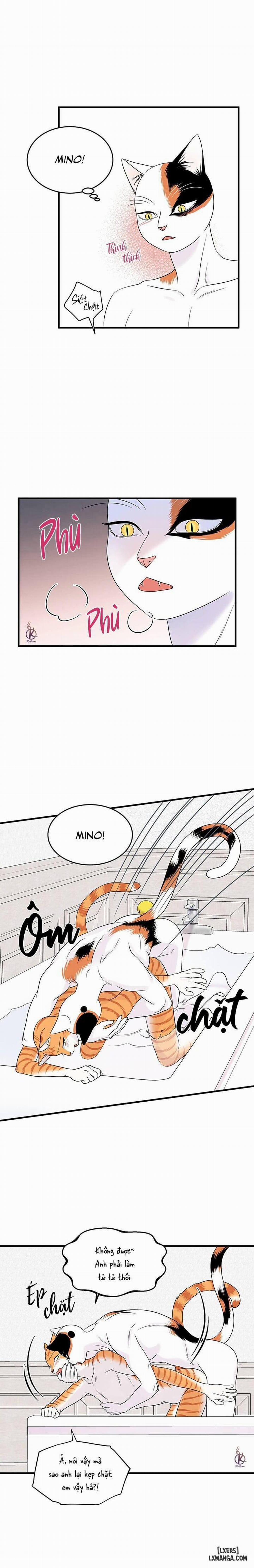 Dự án xanh 35 trang 13