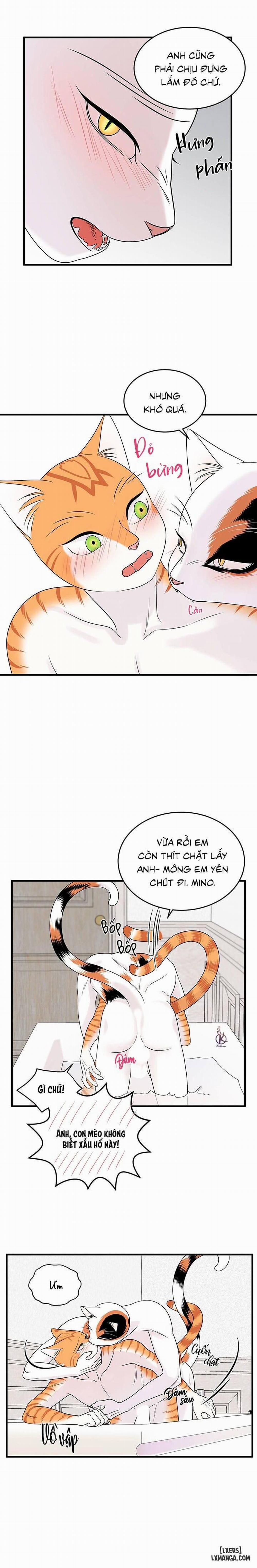 Dự án xanh 35 trang 14