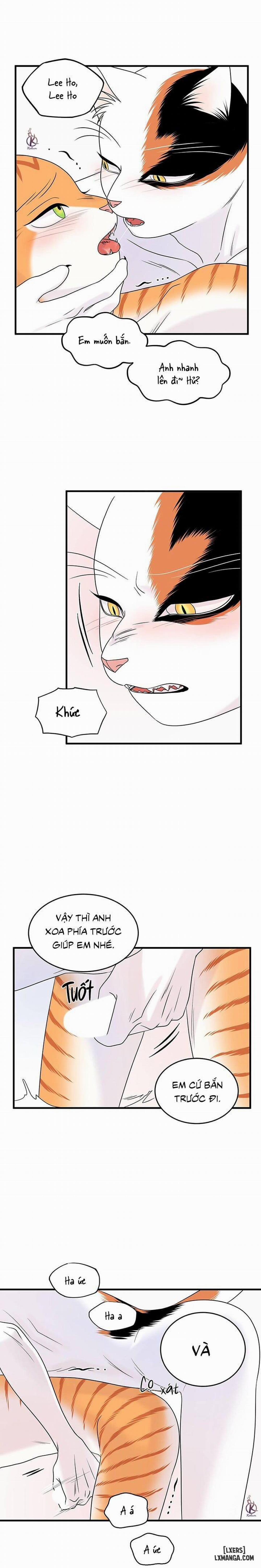 Dự án xanh 35 trang 15