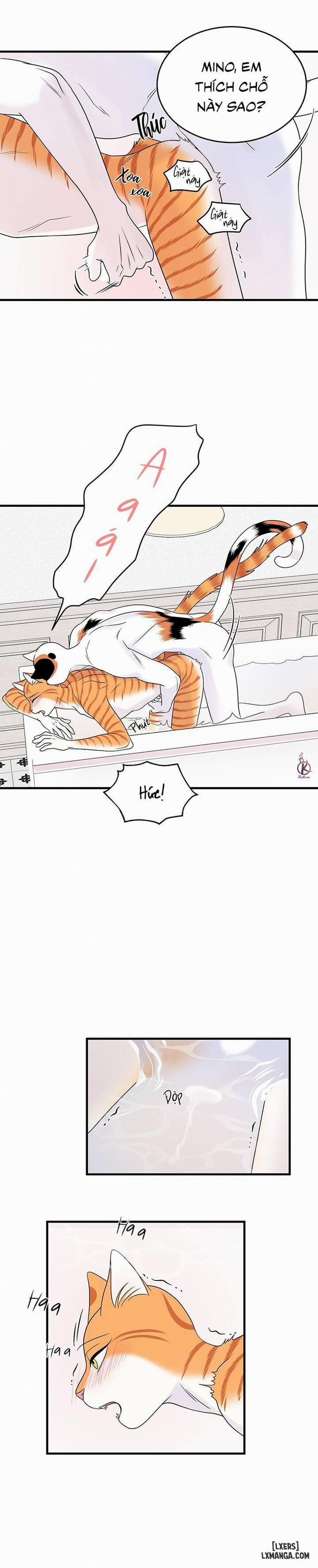 Dự án xanh 35 trang 16