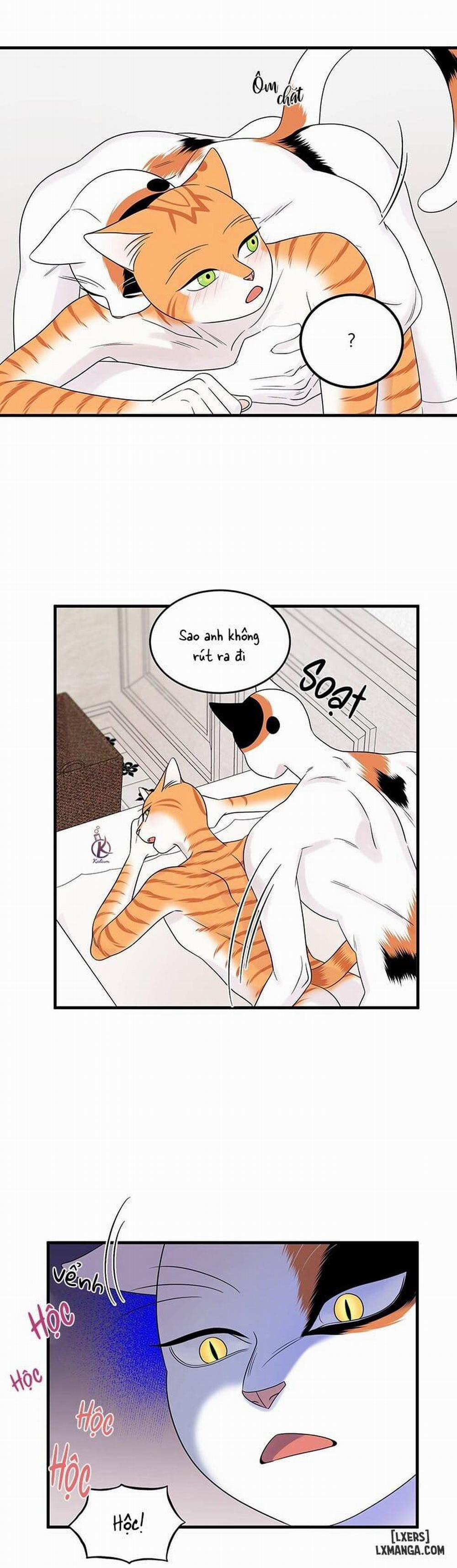 Dự án xanh 35 trang 17