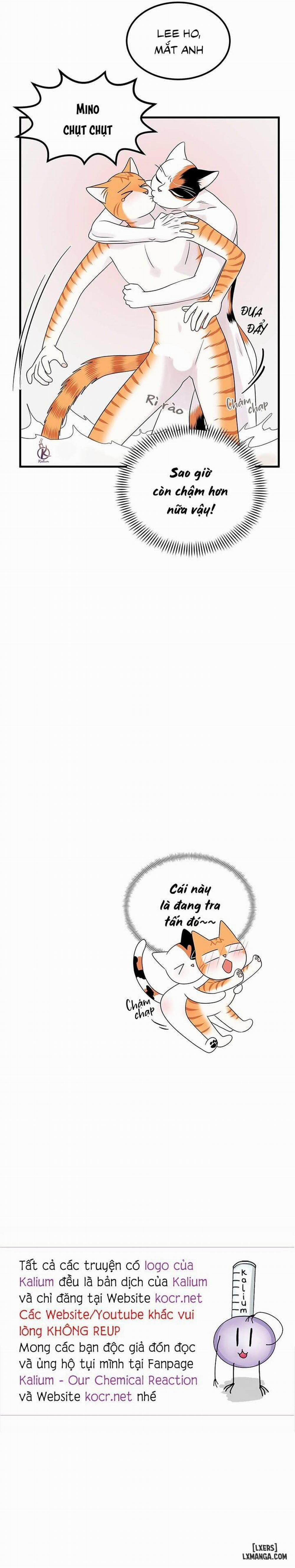 Dự án xanh 35 trang 18