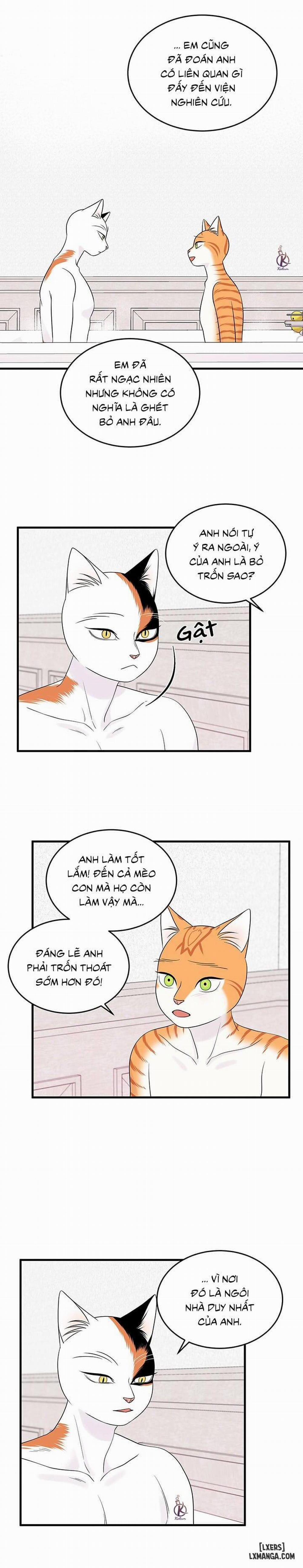 Dự án xanh 35 trang 3