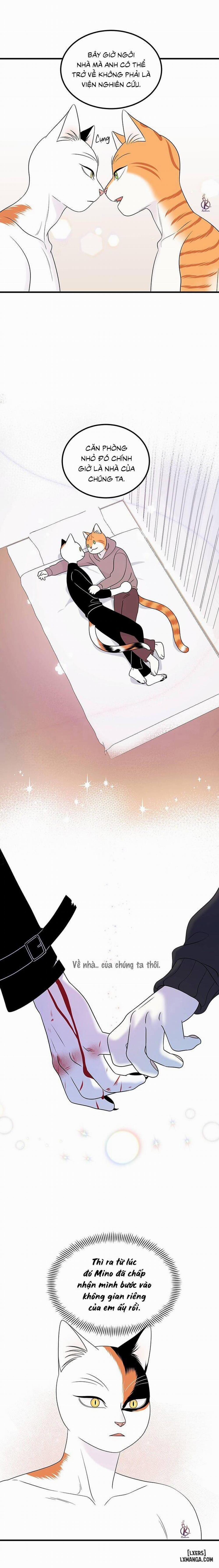 Dự án xanh 35 trang 5