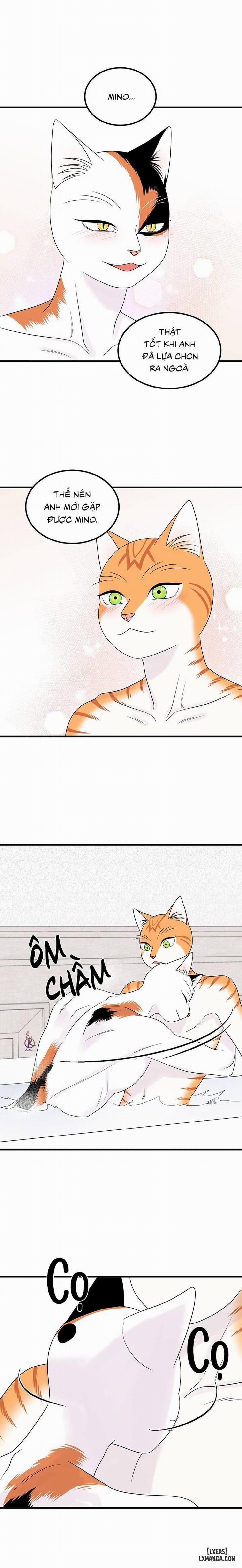 Dự án xanh 35 trang 6