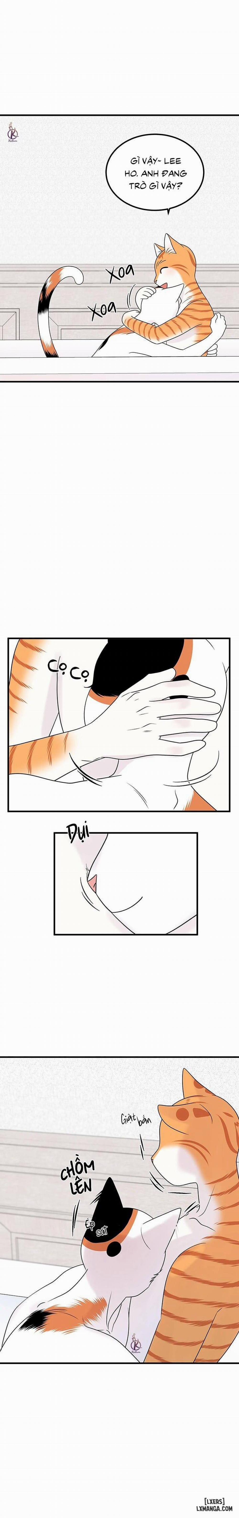 Dự án xanh 35 trang 7