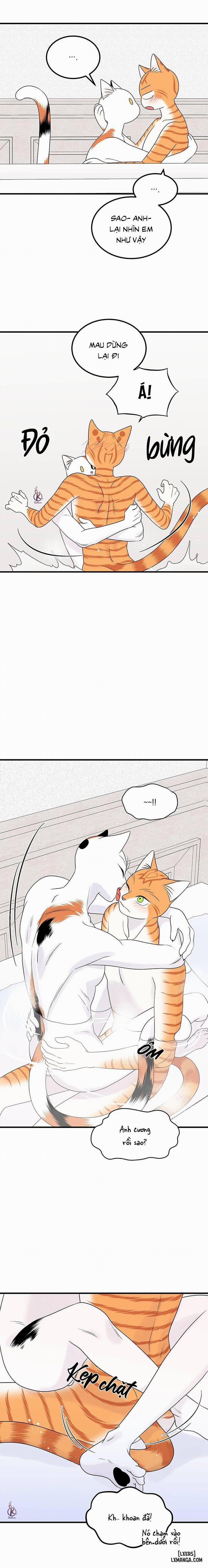 Dự án xanh 35 trang 8